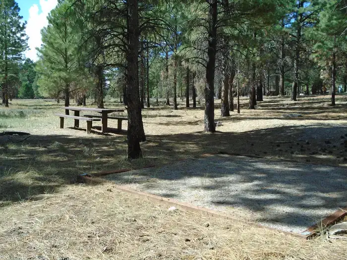 Camper-submitted photo at Manti-LaSal National Forest Nizhoni Campground near Blanding, UT