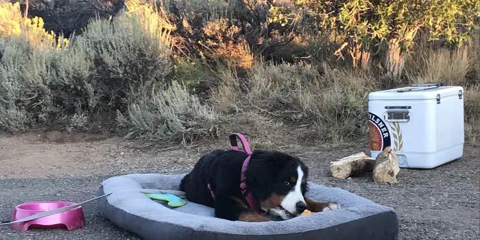 Camper submitted image from Elk Creek Campground