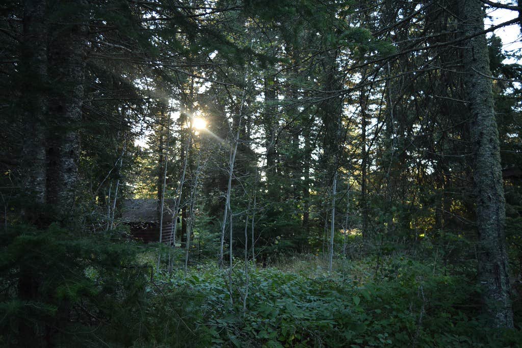 Camper submitted image from Moskey Basin Campground — Isle Royale National Park - 3