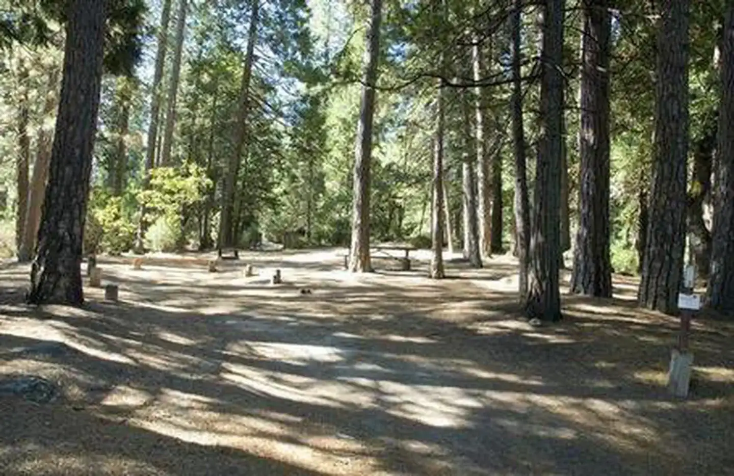 Camping near Spring Cove Campground: Wishon Bass Lake, Wishon, California