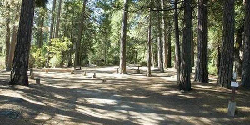 Camper submitted image from Wishon Bass Lake