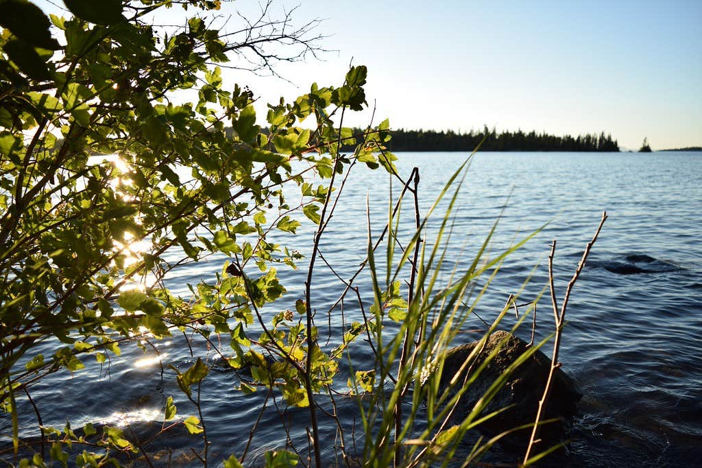 Camper-submitted photo at Lane Cove Campground — Isle Royale National Park near Isle Royale National Park
