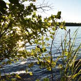 Review photo of Lane Cove Campground — Isle Royale National Park by Danielle A., September 28, 2016