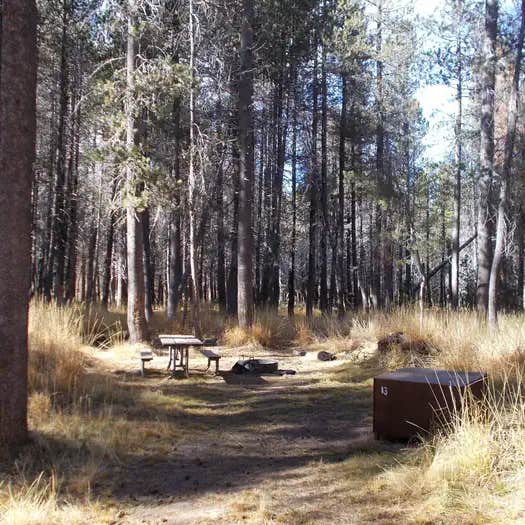 Bridalveil Creek Campground — Yosemite National Park