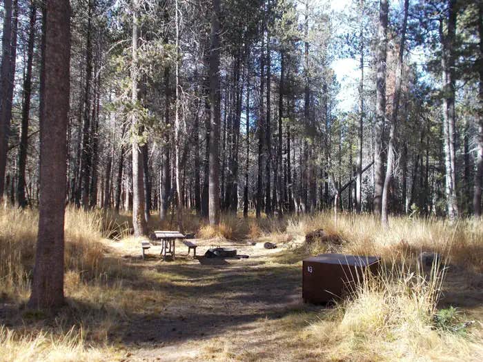 Camper submitted image from Bridalveil Creek Campground — Yosemite National Park - 1