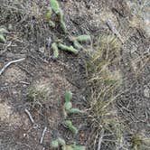 Review photo of Fourmile Travel Management Area by Les R., November 29, 2025