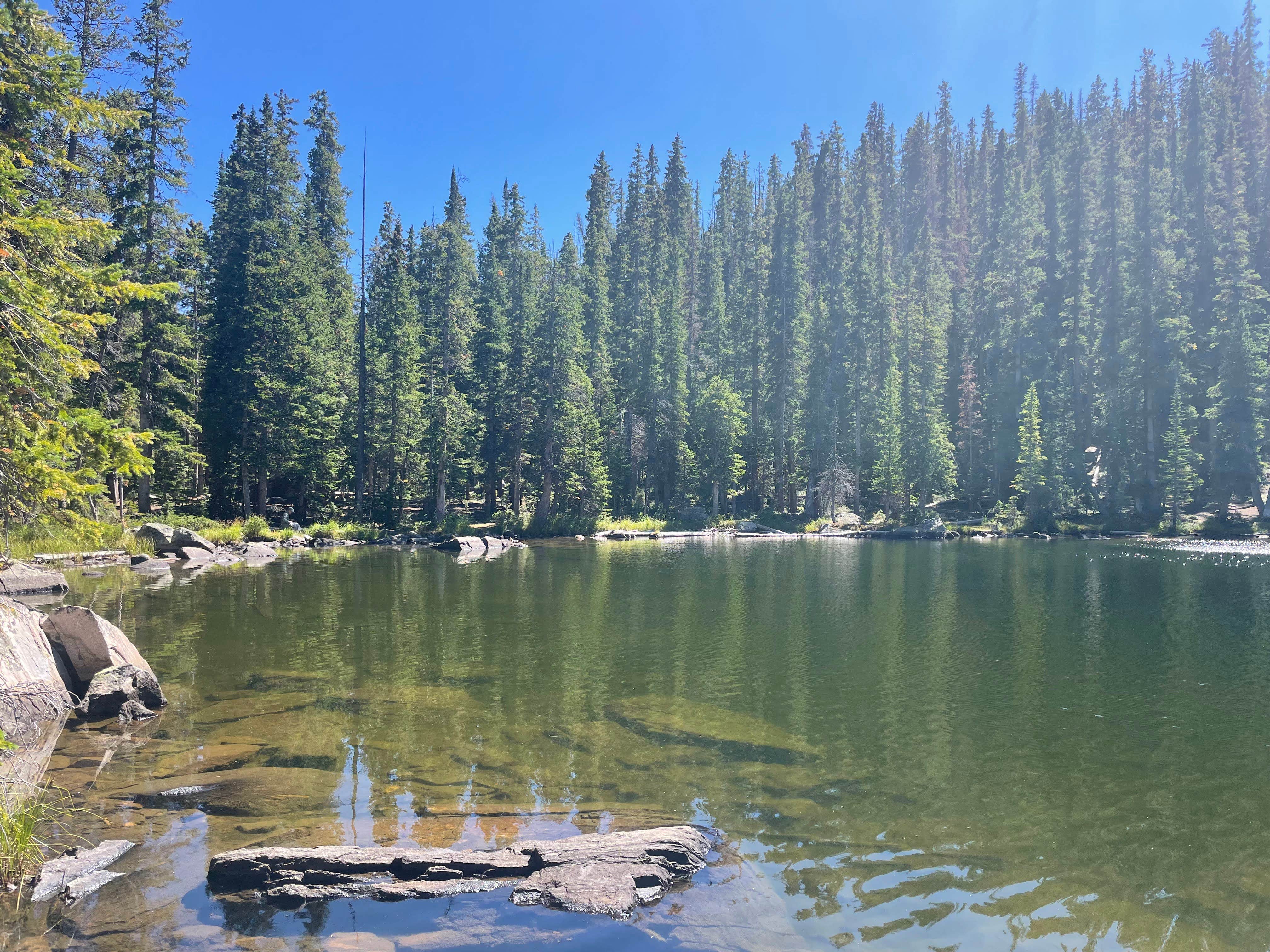 Camper submitted image from Whitney Lake - 1