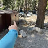 Review photo of Whitney Portal by Les R., November 29, 2025