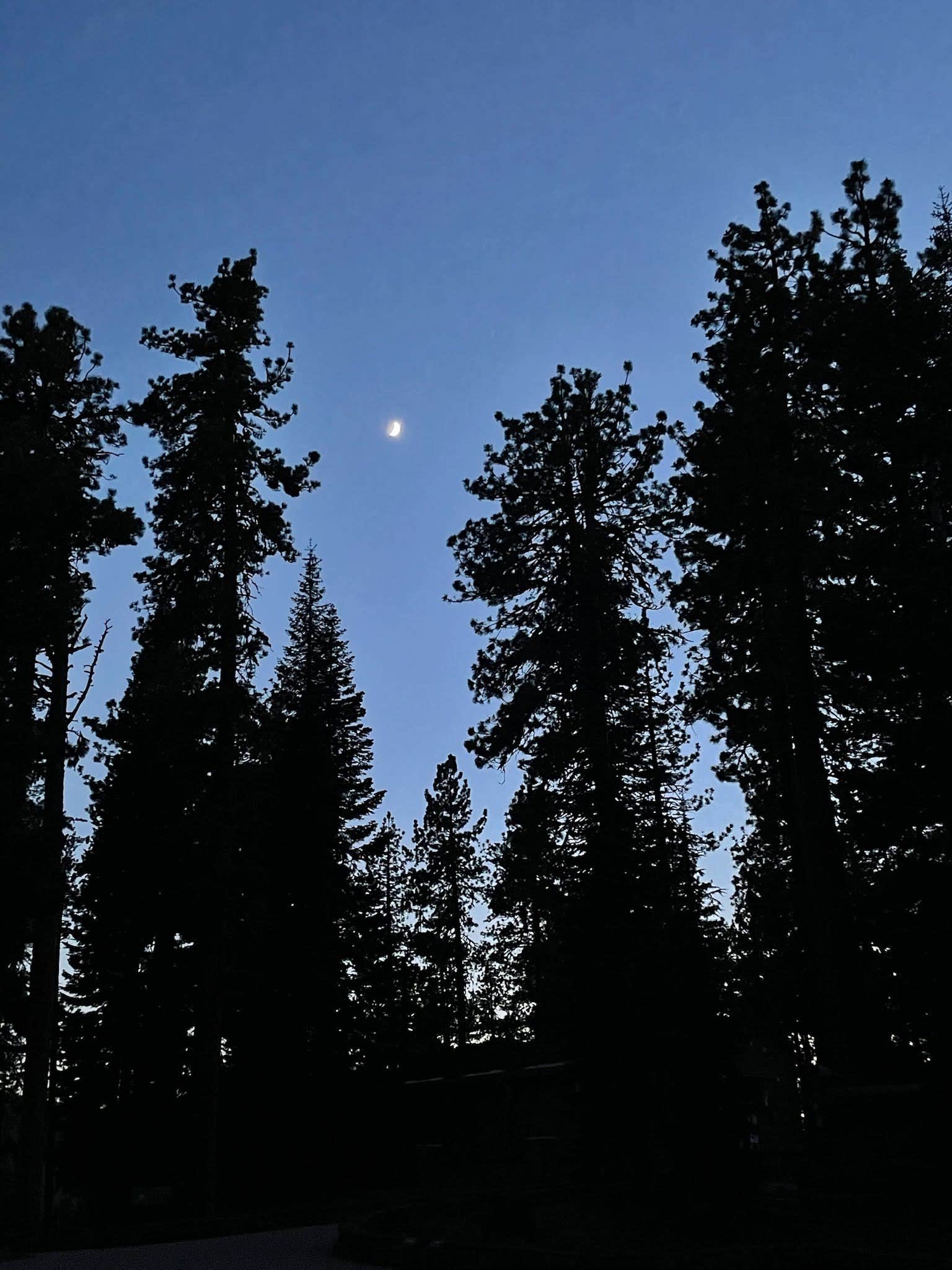 Camper submitted image from Manzanita Lake Camping Cabins — Lassen Volcanic National Park - 1