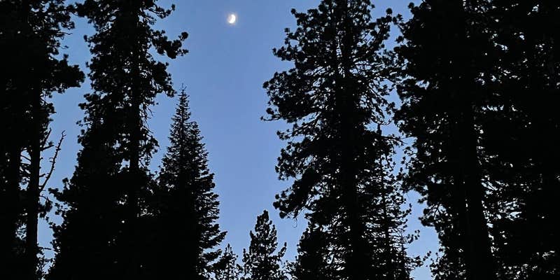 Camper submitted image from Manzanita Lake Camping Cabins — Lassen Volcanic National Park