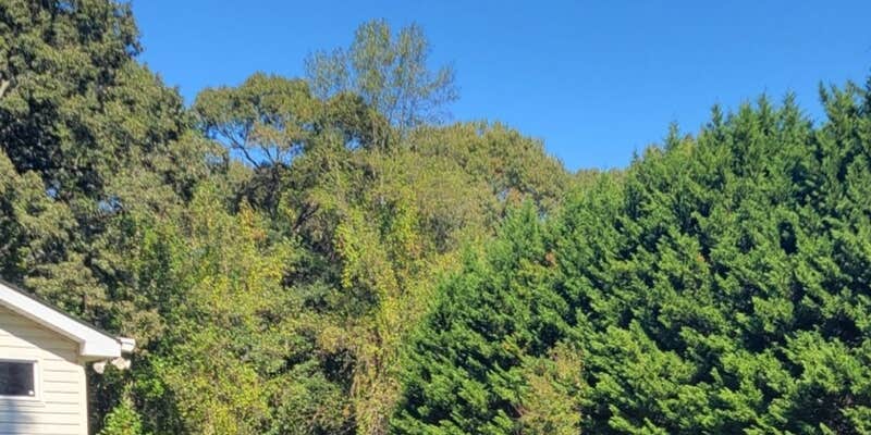 Camper submitted image from Midway Nomad's Rest