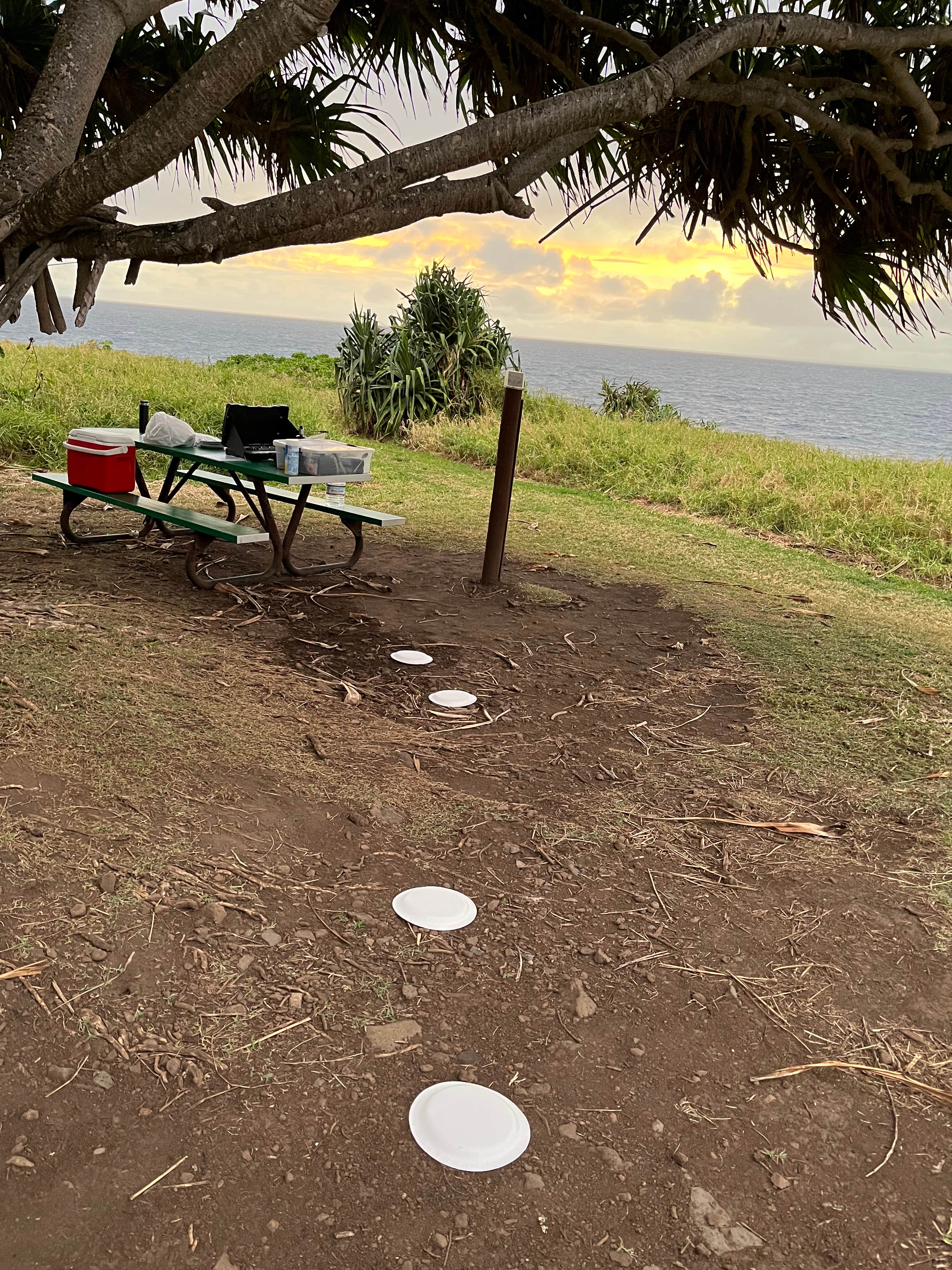 Camper-submitted photo at Kīpahulu Campground — Haleakalā National Park in Hawaii