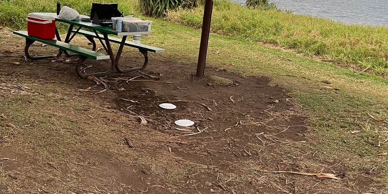 Camper submitted image from Kīpahulu Campground — Haleakalā National Park