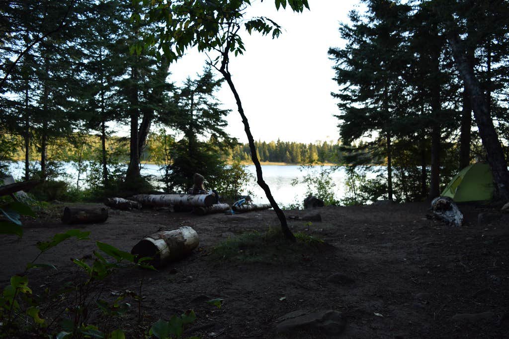 View of the site