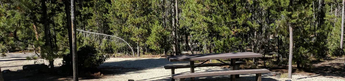 Camper submitted image from Boundary Creek Campground - 1