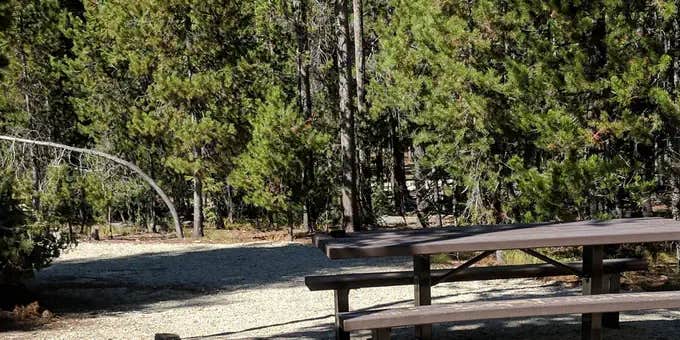 Camper submitted image from Boundary Creek Campground