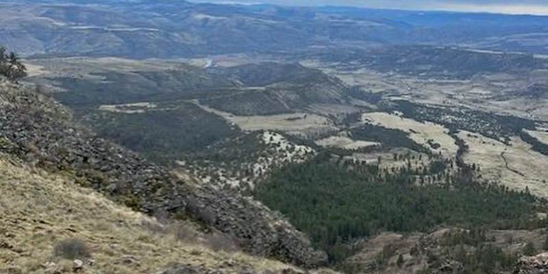 Camper submitted image from Tamarack Cabin