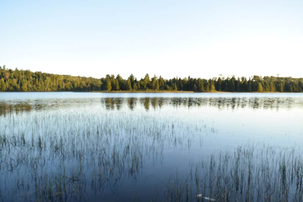 Chickenbone Lake in the morning