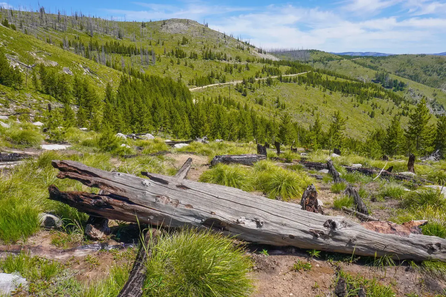 Camper-submitted photo at Gird Point near Pinesdale, MT