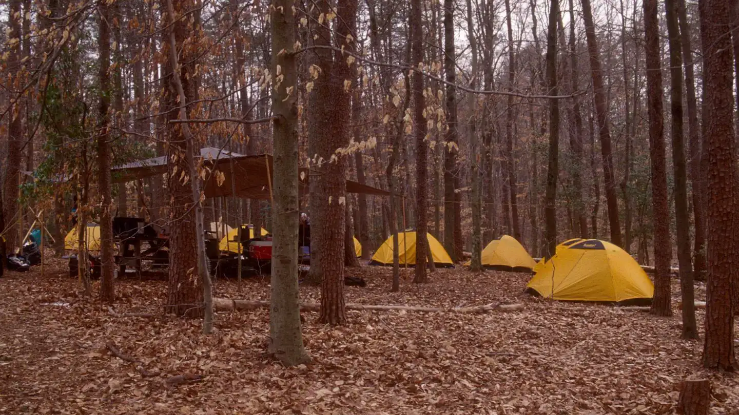 Camping near Pohick Bay Campground: Turkey Run Ridge Group Campground — Prince William Forest Park, Dumfries, Virginia