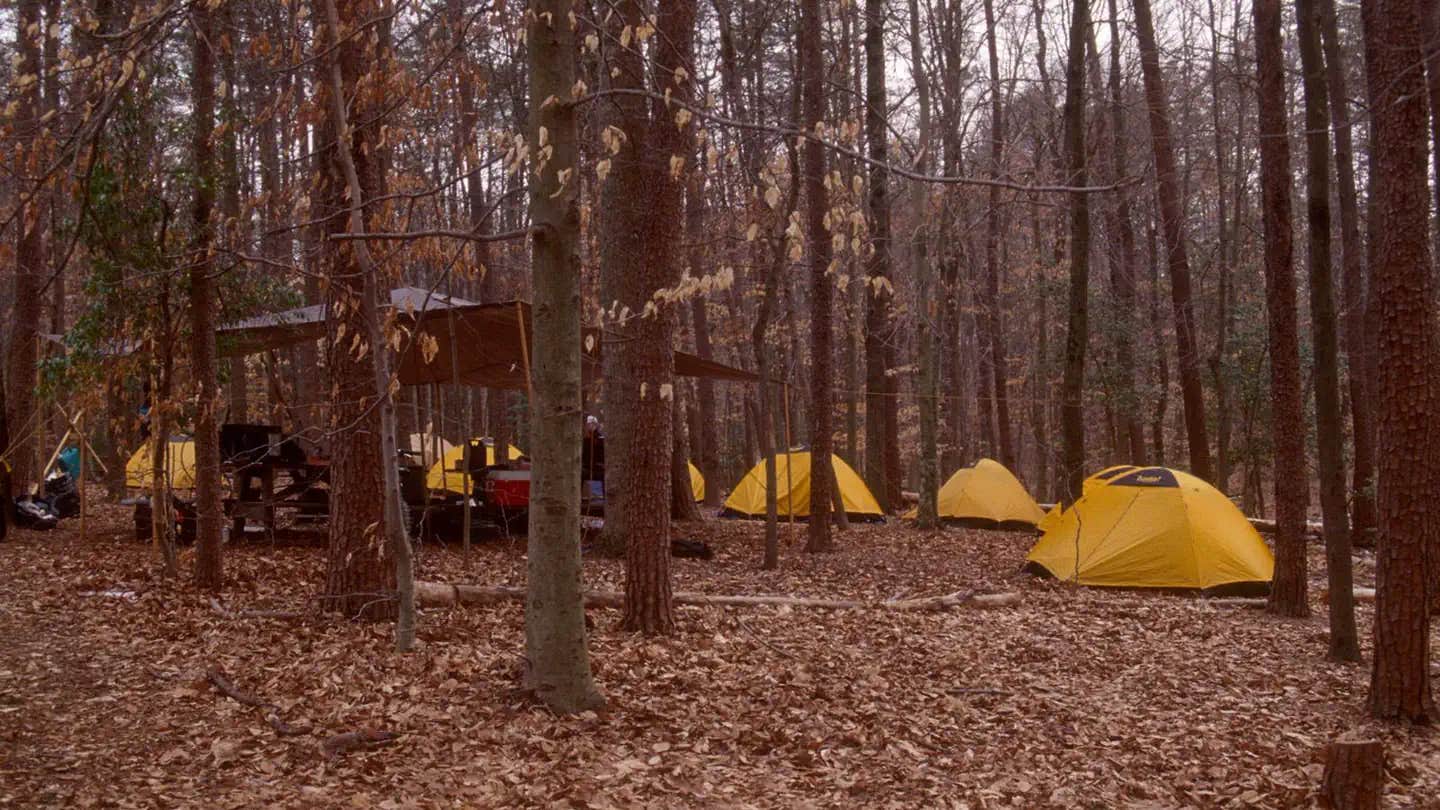 Camper submitted image from Turkey Run Ridge Group Campground — Prince William Forest Park - 1