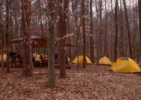 Turkey Run Ridge Group Campground — Prince William Forest Park