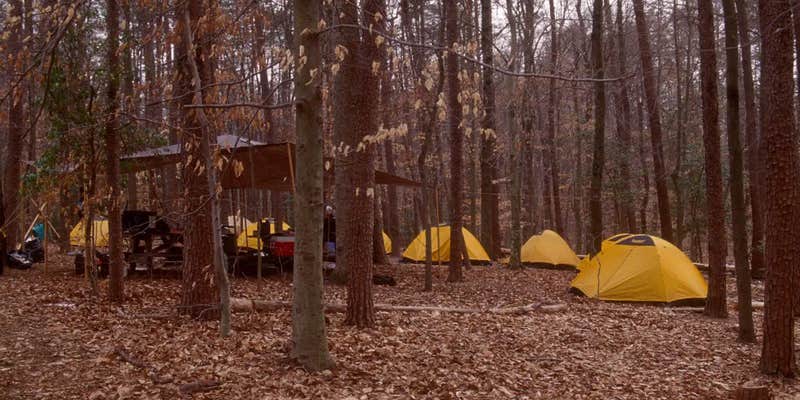 Camper submitted image from Turkey Run Ridge Group Campground — Prince William Forest Park