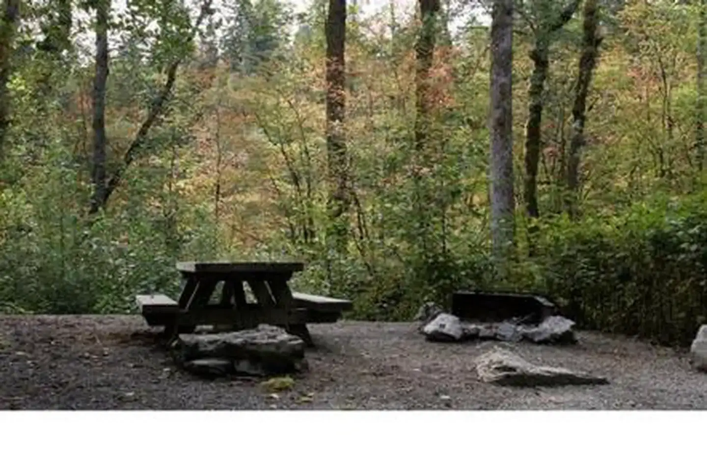 Camper-submitted photo at Red Bridge Campground near Mt. Baker-Snoqualmie National Forest