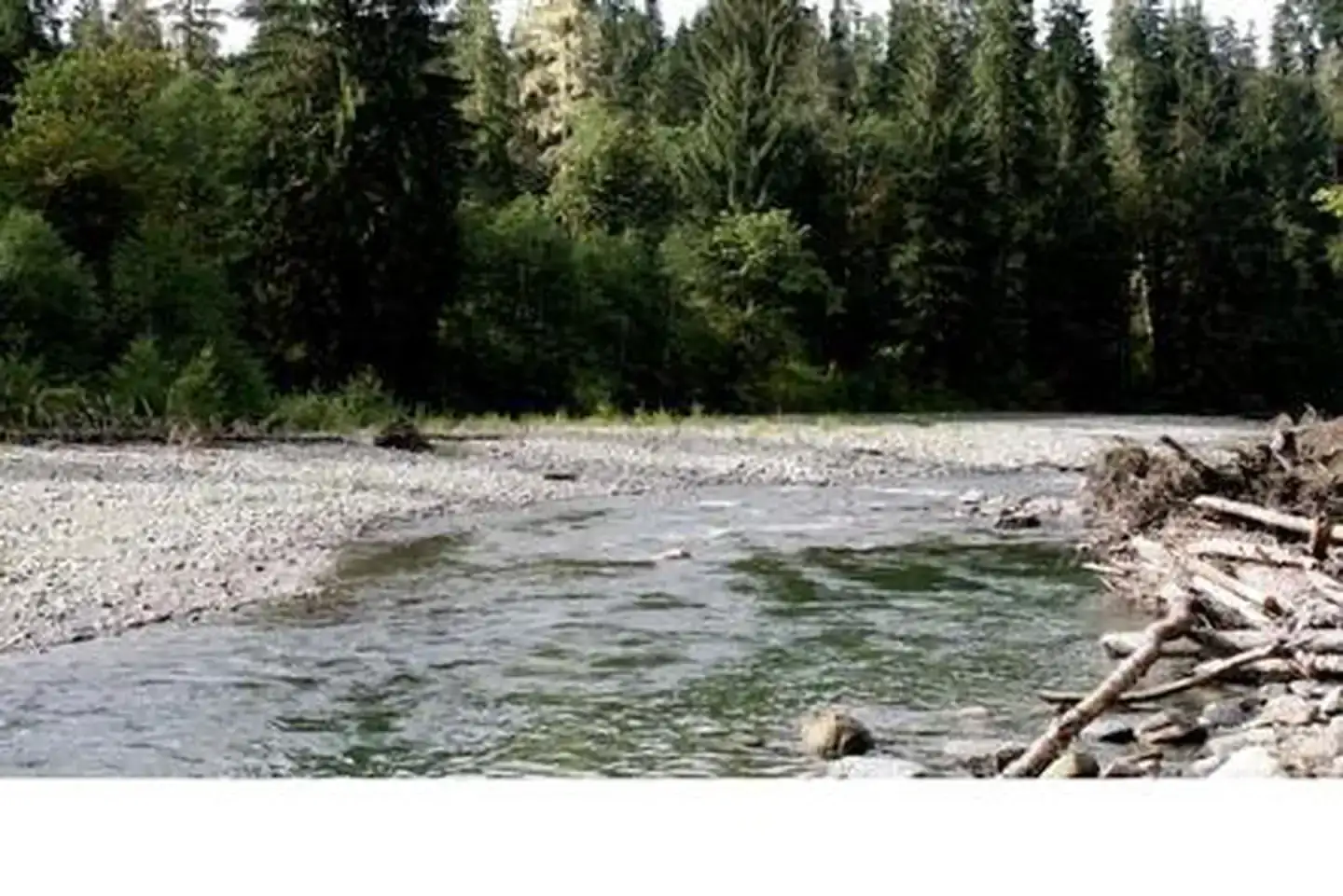 Camper-submitted photo at Red Bridge Campground near Mt. Baker-Snoqualmie National Forest