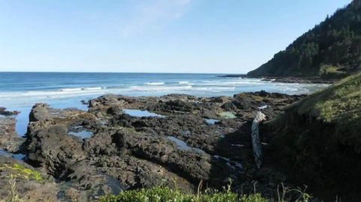 Camper submitted image from Cape Perpetua - 1