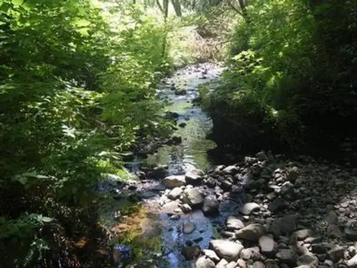 Camper-submitted photo at Cape Perpetua near Florence, OR
