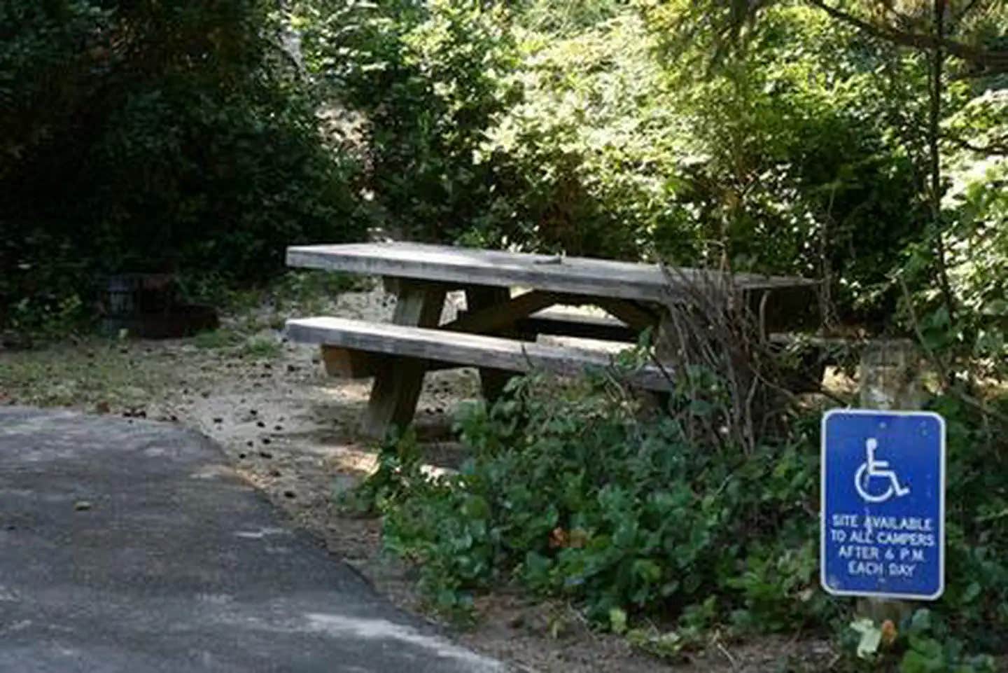 Camper submitted image from Tahkenitch Campground - 1