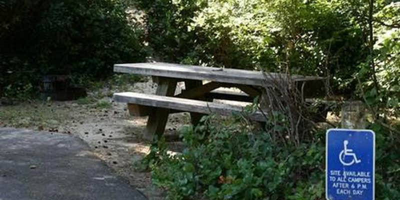 Camper submitted image from Tahkenitch Campground