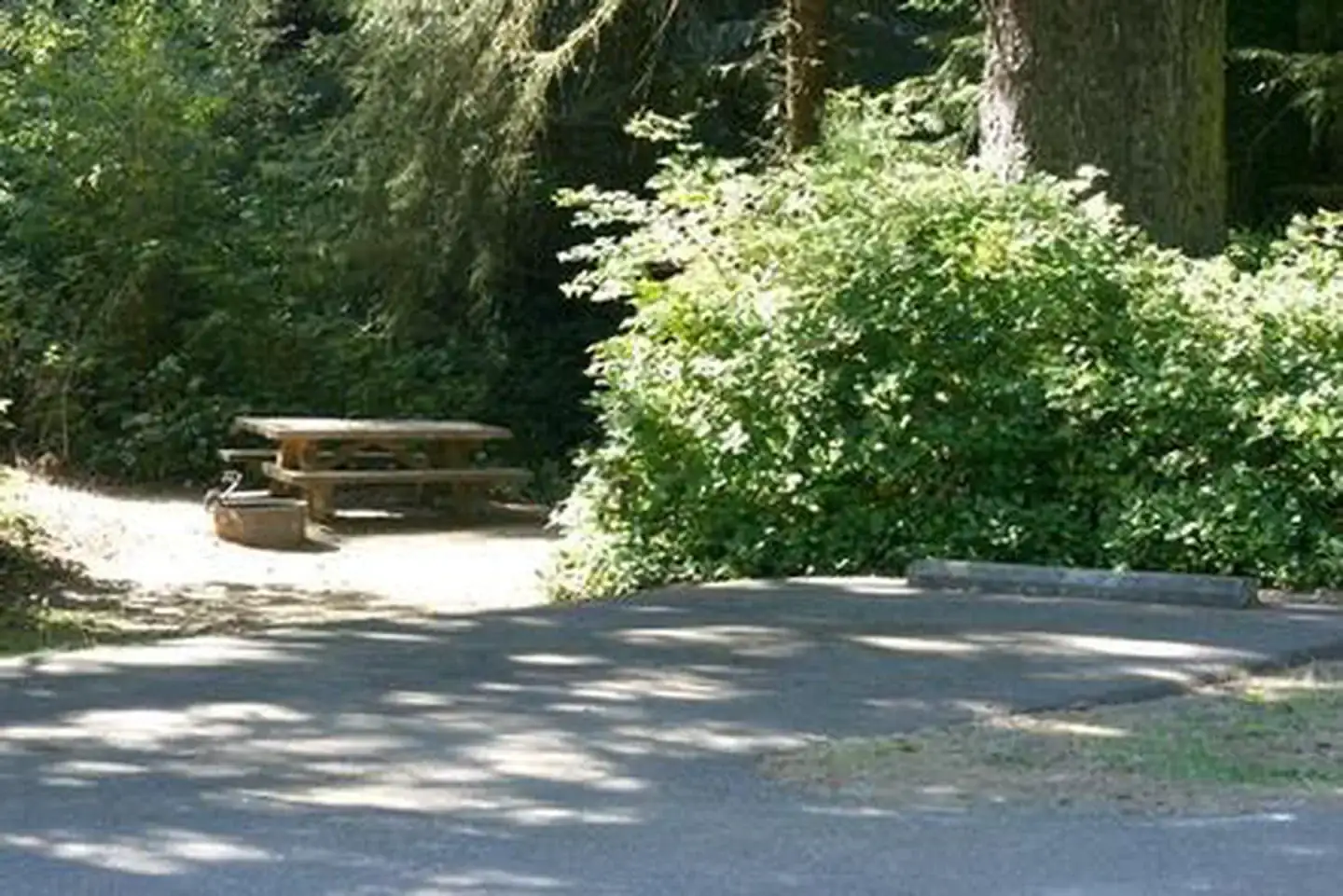 Camper-submitted photo at Tahkenitch Campground near Reedsport, OR