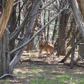 Review photo of Inks Lake State Park Campground by Brian V., September 28, 2016