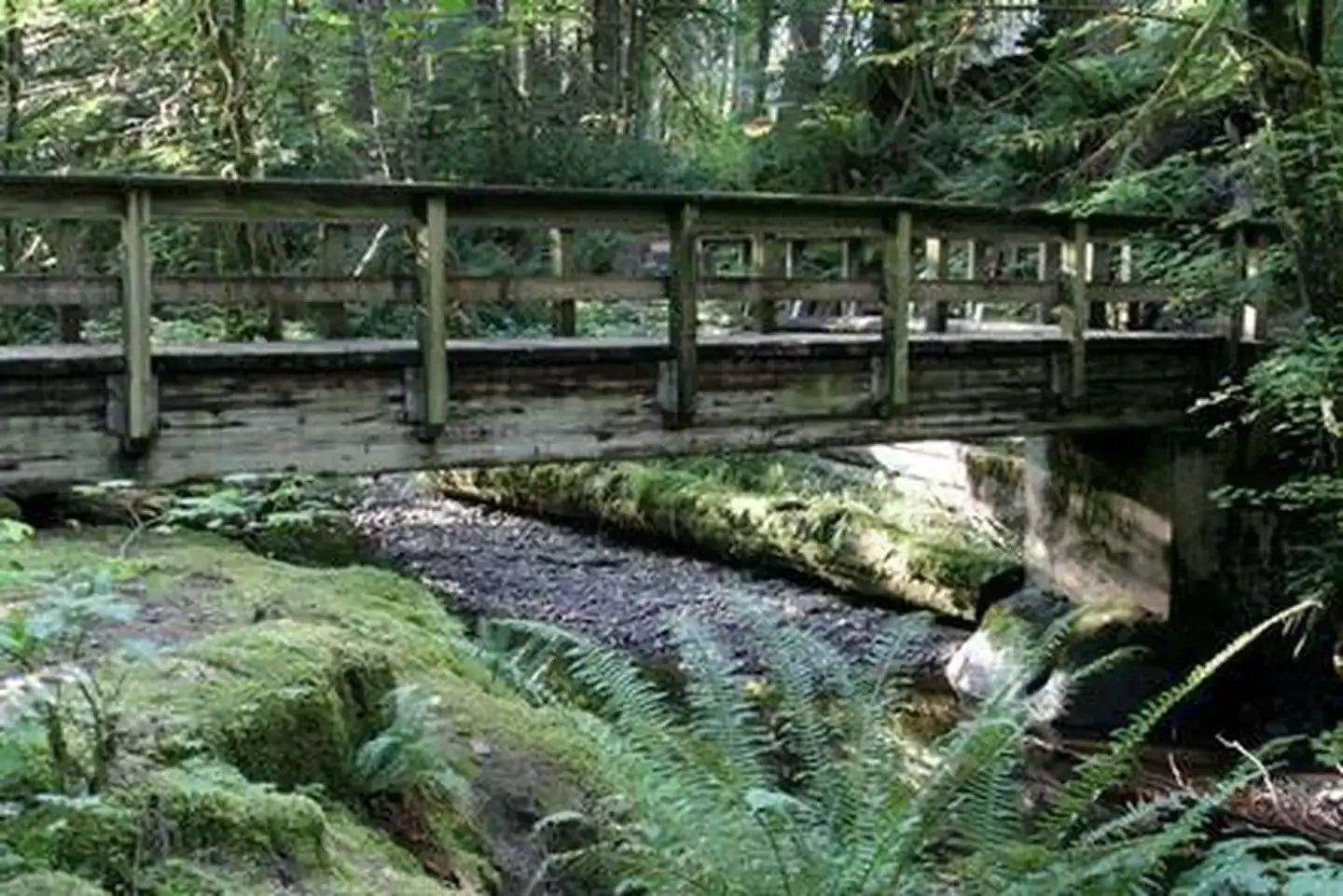 Camper-submitted photo at Verlot Campground near Marysville, WA
