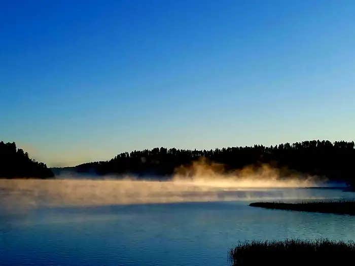 Camper submitted image from Black Hills National Forest Dutchman Campground - 1