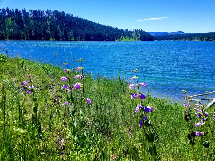 Camper-submitted photo at Black Hills National Forest Dutchman Campground near Newcastle, WY