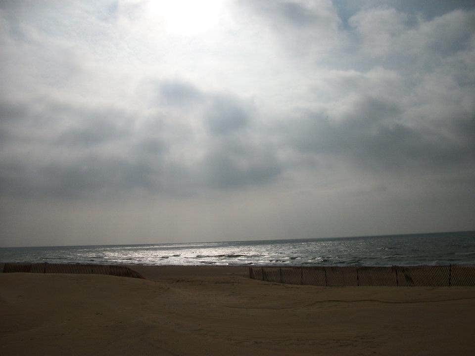 Camper submitted image from Lake Michigan Campground at Muskegon State Park Campground - 3