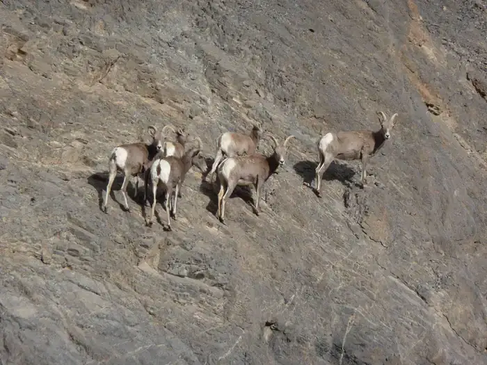 Camper-submitted photo at Furnace Creek Campground — Death Valley National Park near Death Valley National Park