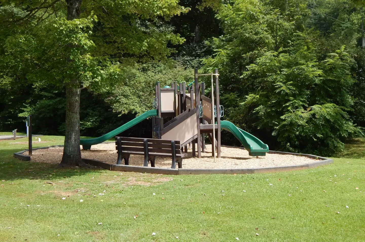 Camper-submitted photo at Salthouse Branch Campground near Eden, NC