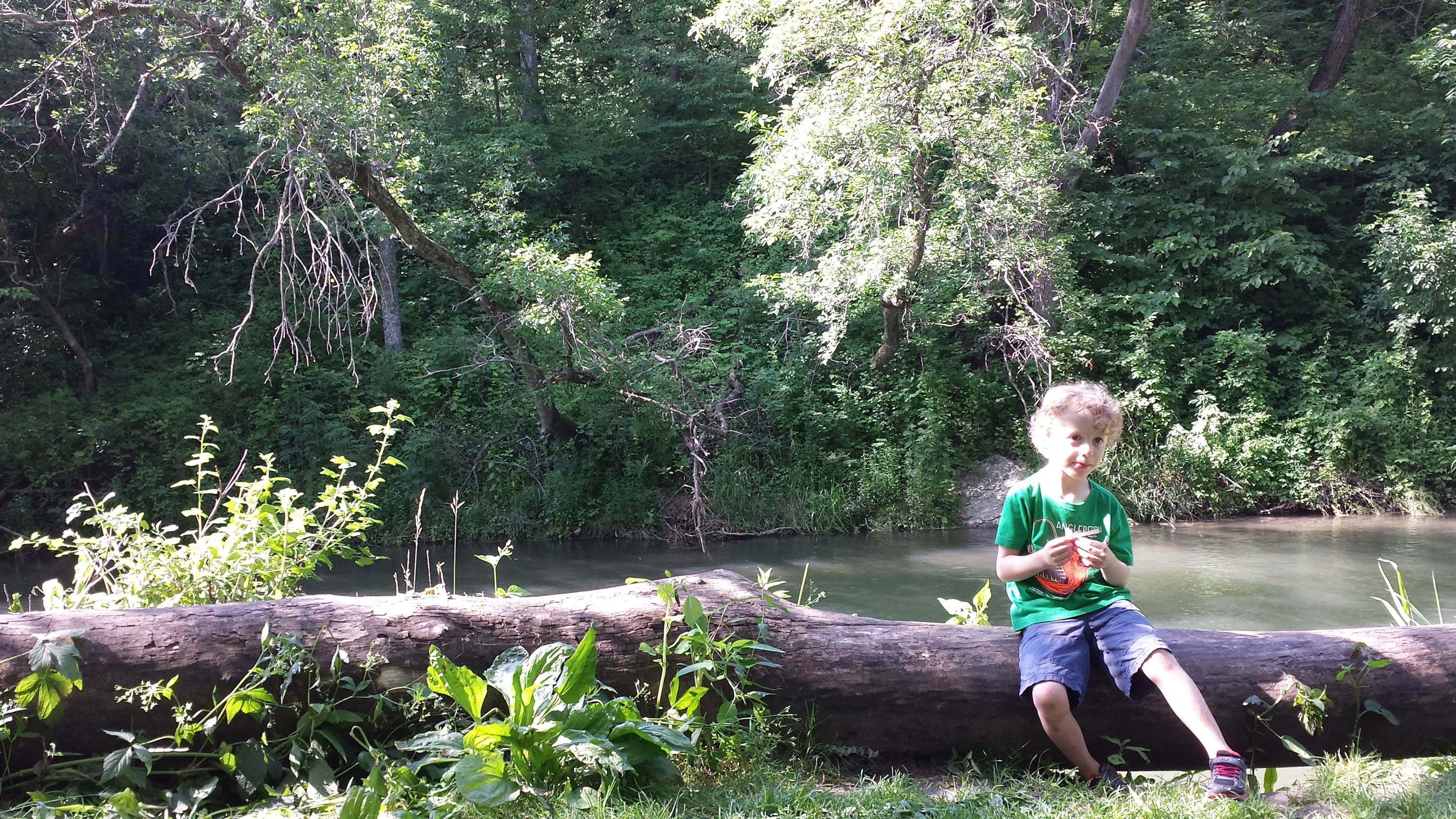 Camper submitted image from Forestville Mystery Cave State Park Campground - 5