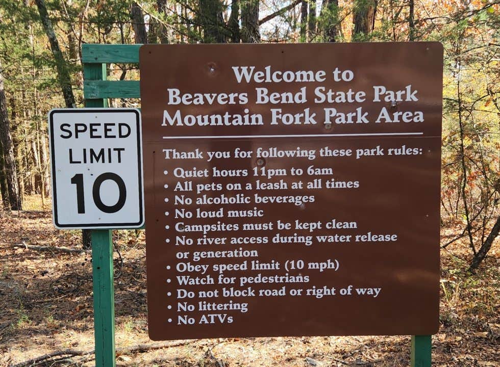 Camper submitted image from Mountain Fork Park - 4