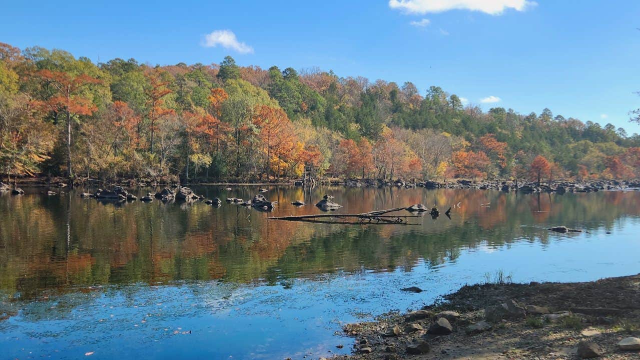 Camper-submitted photo at Mountain Fork Park near Eagletown, OK