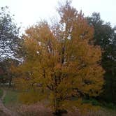 Review photo of Blue Mound State Park Campground by Danielle A., September 28, 2016
