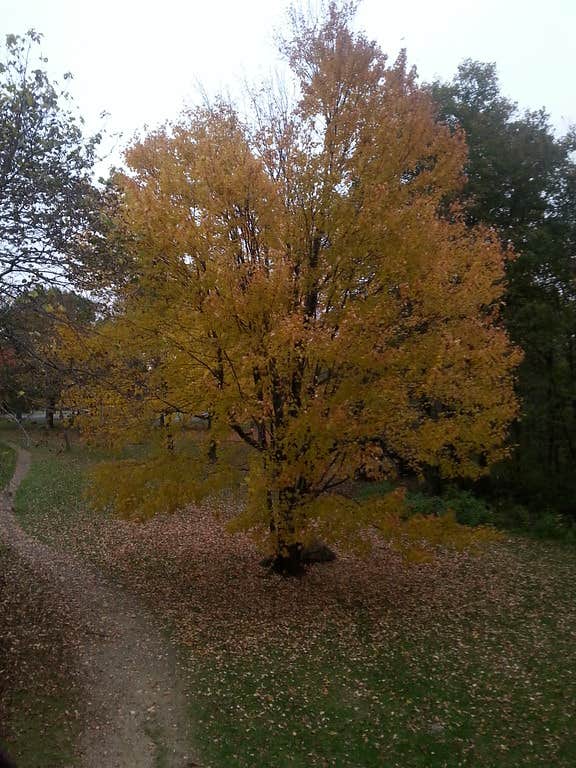 Camper submitted image from Blue Mound State Park Campground - 3