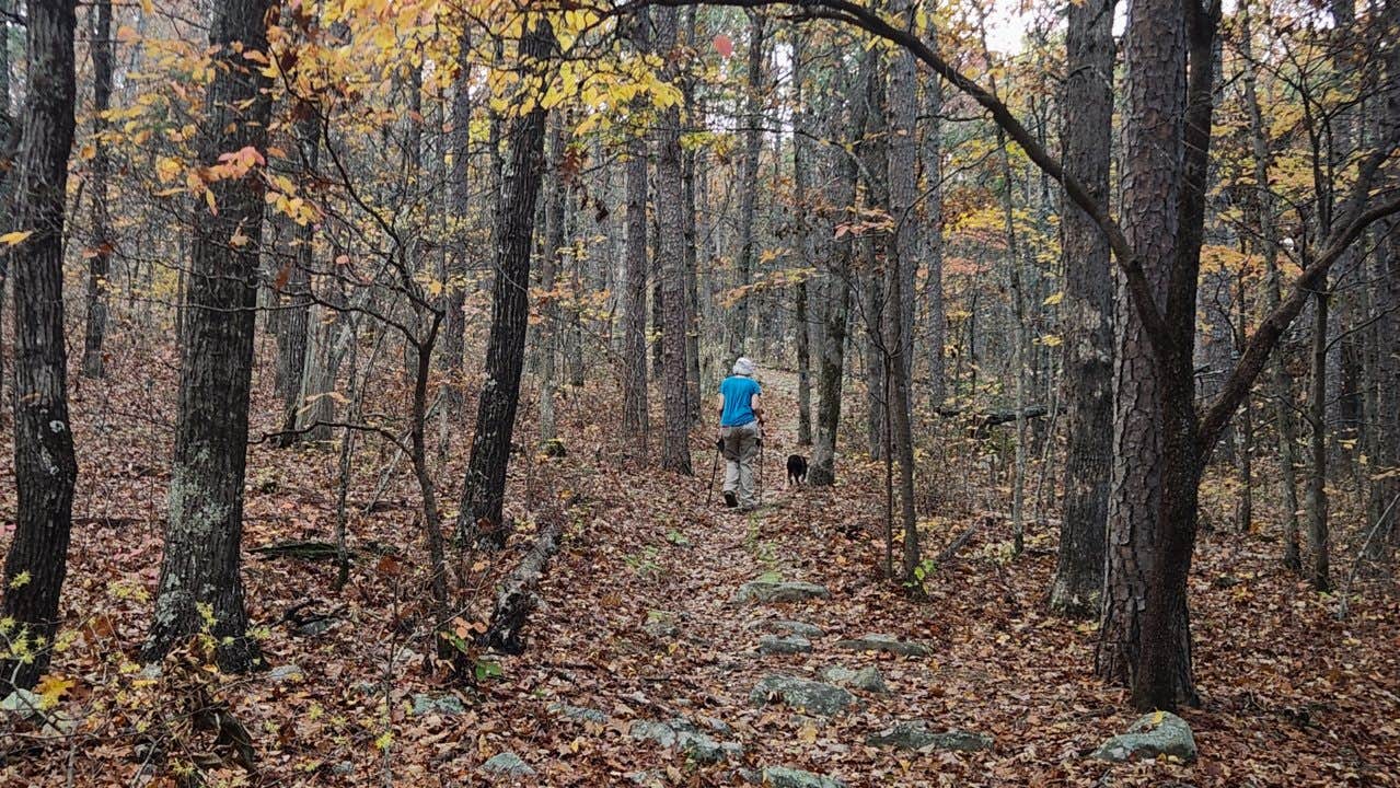Fred S.'s photo of camping with pets at Winding Stair Campground (Ok) — Ouachita National Forest near Broken Bow, OK