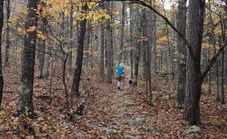 Fred S.'s photo of camping with pets at Winding Stair Campground (Ok) — Ouachita National Forest near Sardis Lake
