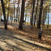 Review photo of North Shore Campground, Cedar Lake Rec Area by Fred S., November 30, 2025