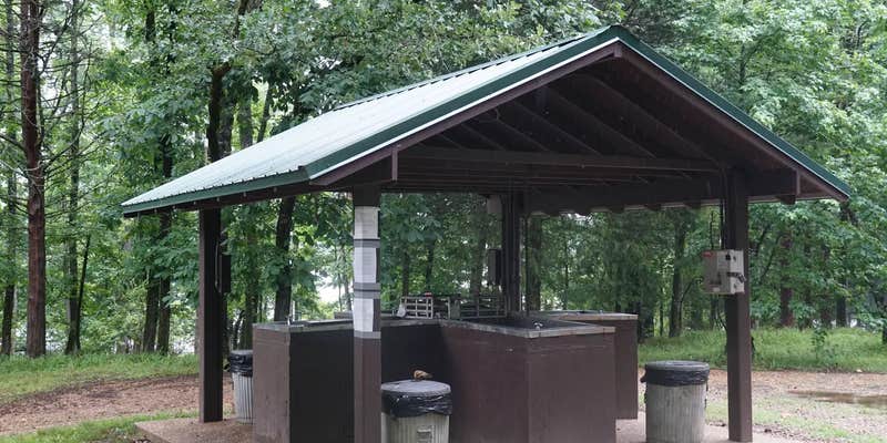 Camper submitted image from COE Lake Ouachita Little Fir Campground